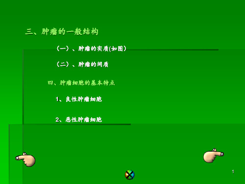 动物病理学PPTppt课件