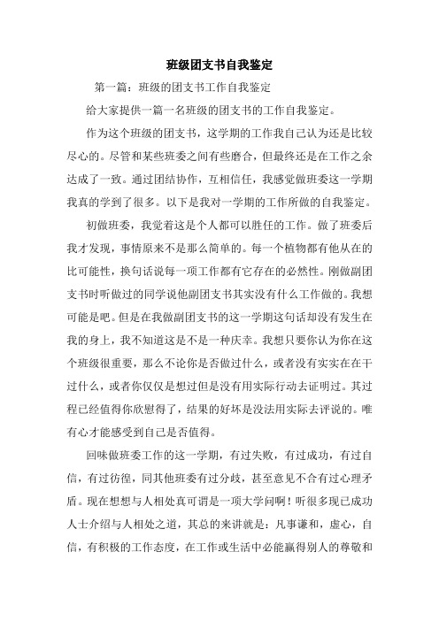 最新班级团支书自我鉴定