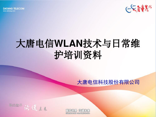 电信WLAN技术与日常维护培训资料.pptx