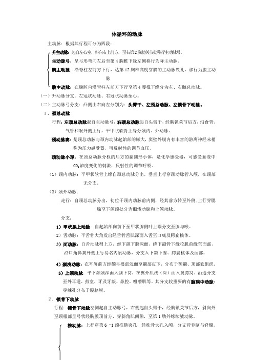 动脉