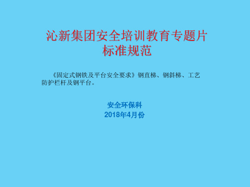 国家规范要求护栏 钢梯标准