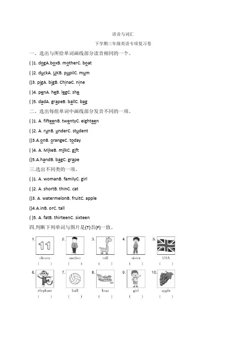 三年级下册英语期末专项练习-语音与词汇 人教pep(含答案)