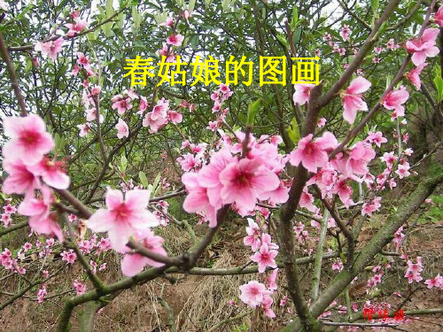 语文S版二年级上册27《冬爷爷的图画》精品PPT课件