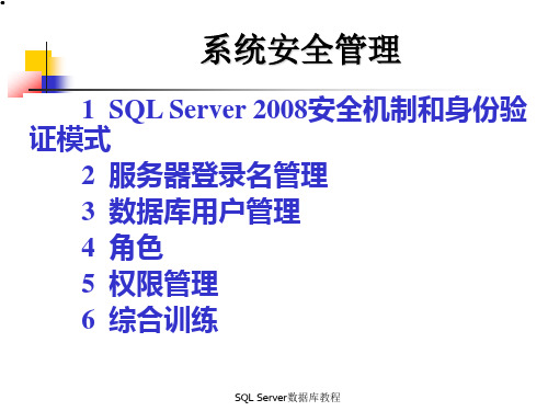 SQL Server数据库教程-系统安全管理