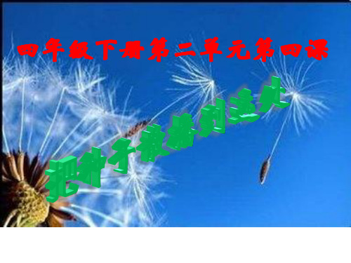 四年级下 把种子散播到远处教科版ppt (共27页)