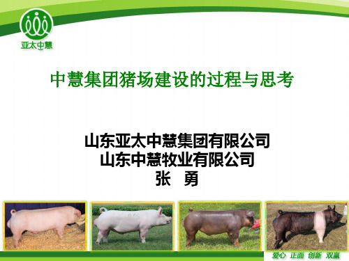 山东亚太中慧集团猪场建设的过程与思考