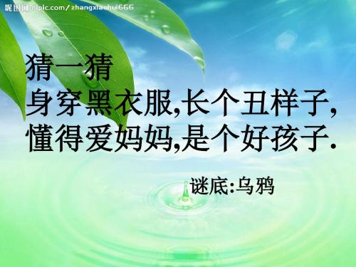 最新部编版一年级语文上册13《乌鸦喝水》精品课件(完整版)