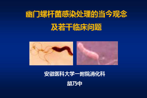 HP讲座