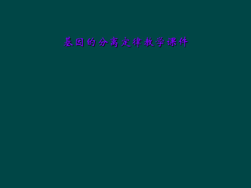 基因的分离定律教学课件