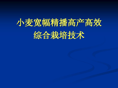小麦宽幅精播高产高效综合栽培技术