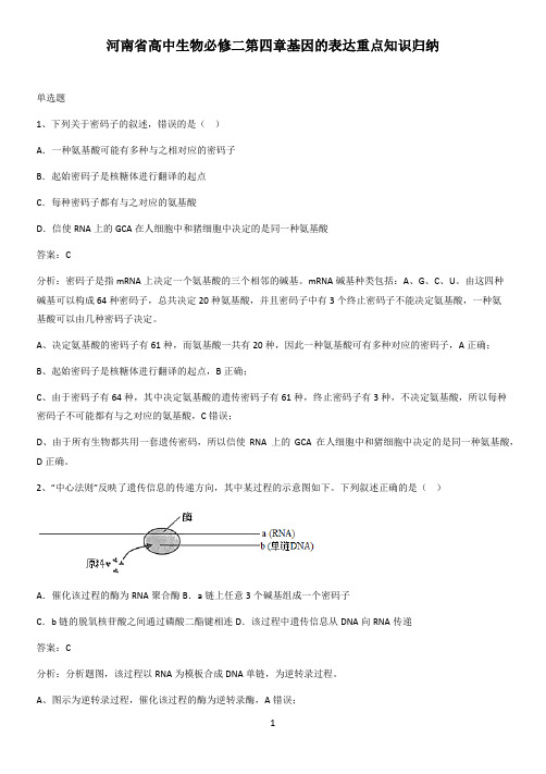 河南省高中生物必修二第四章基因的表达重点知识归纳