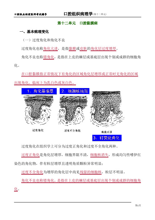 口腔组织病理学 第十二单元 口腔黏膜病
