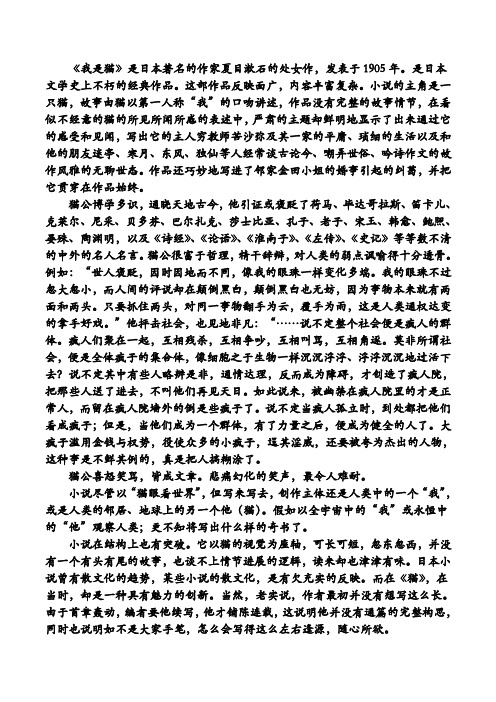 我是猫的讽刺性价值赏析