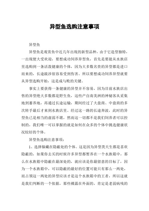 异型鱼选购注意事项