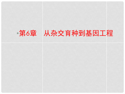 优化探究(新课标)高考生物一轮复习 6从杂交育种到基因工程课件 新人教版必修2