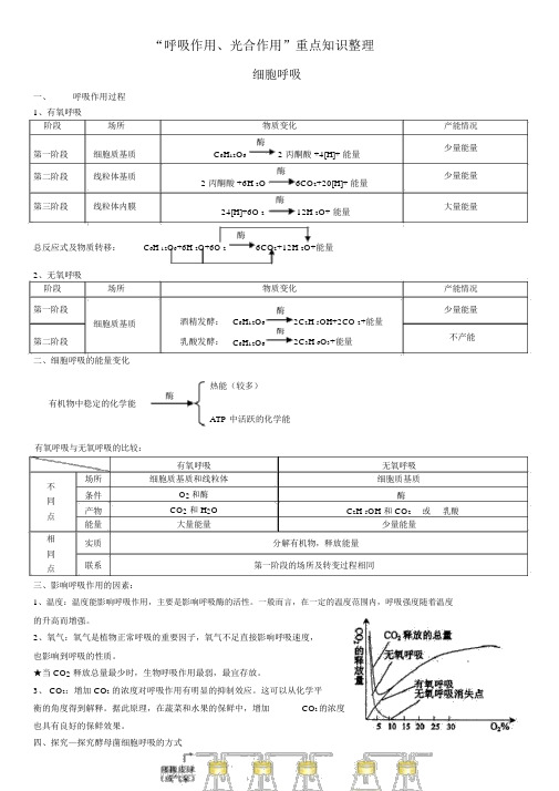 “细胞呼吸+光合作用”知识点