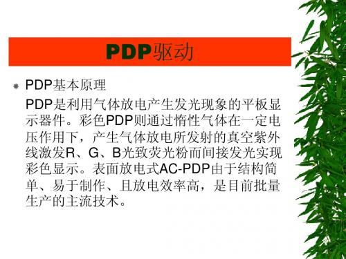 PDP驱动