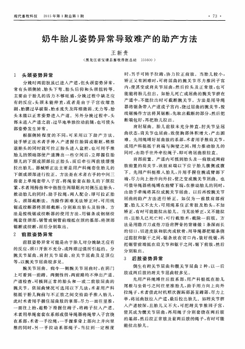 奶牛胎儿姿势异常导致难产的助产方法