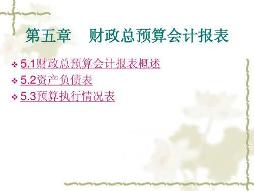 第五章财政总预算会计报表
