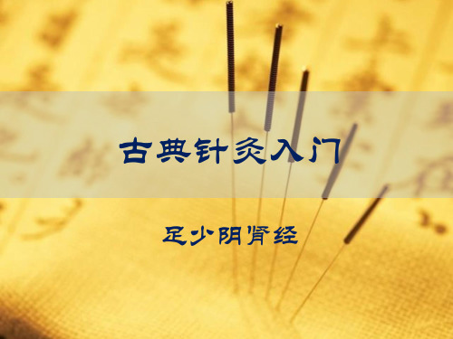 古典针灸入门：足少阴肾经
