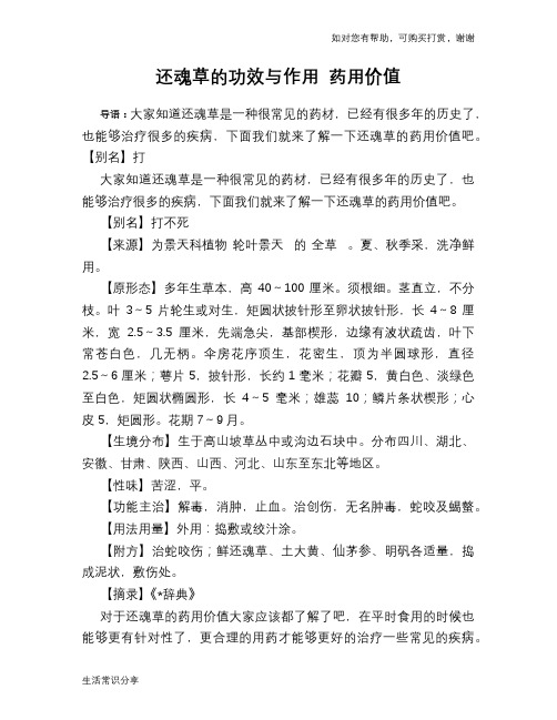 还魂草的功效与作用 药用价值