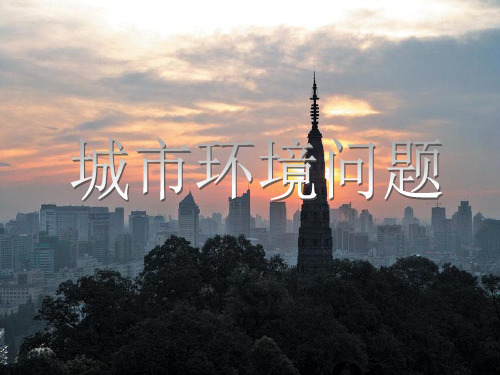 《城市环境问题》PPT1 人教课标版