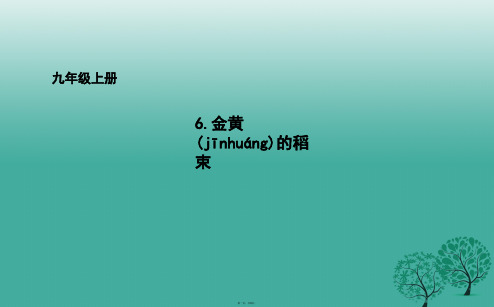 吉林省长市九年级语文上册6金黄的稻束课件长版