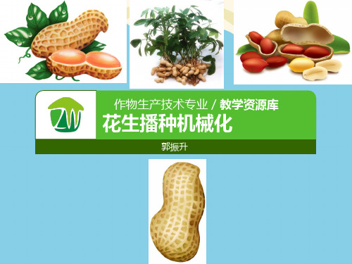 【优】花生播种机械化最全PPT资料