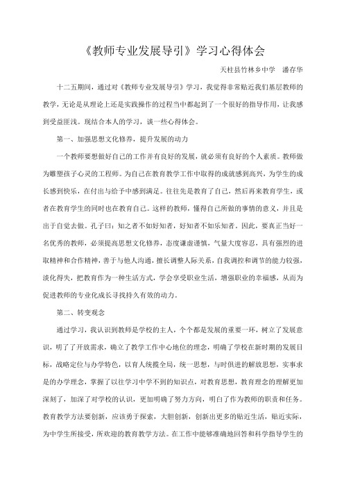 教师专业发展导引