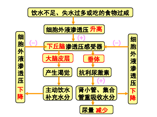 高中生物生物必修3第一章第二章必背