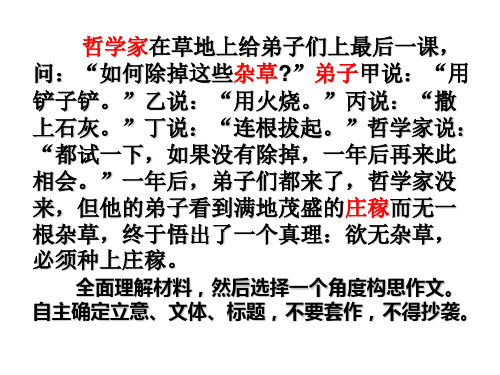 作文：欲无杂草必种庄稼