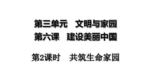 人教版道德与法治九年级上册共筑生命家园课PPT