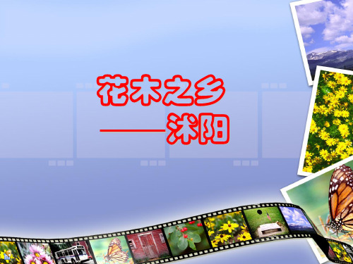 花木之乡沭阳