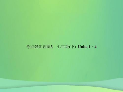 2019年人教新目标版中考英语复习考点强化训练3七下Units1_4练本课件