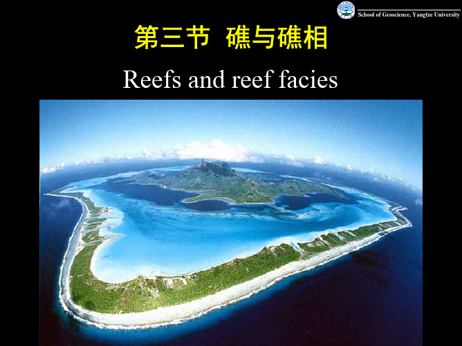 礁与礁相