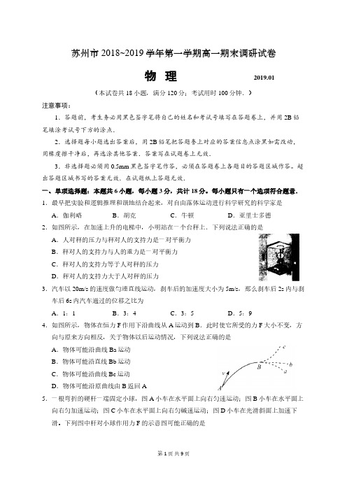 江苏省苏州市2018-2019学年高一上学期学业质量阳光指标调研(期末)物理试题及答案