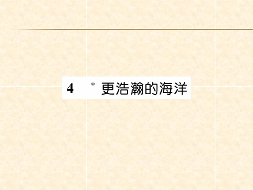 秋九年级语文下册课件(遵义)：4 更浩瀚的海洋(共23张PPT)