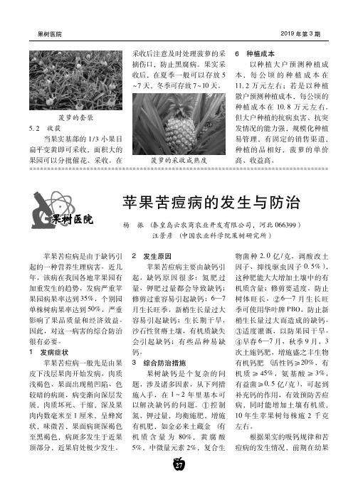 苹果苦痘病的发生与防治