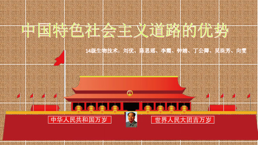 中国特色社会主义道路的优势