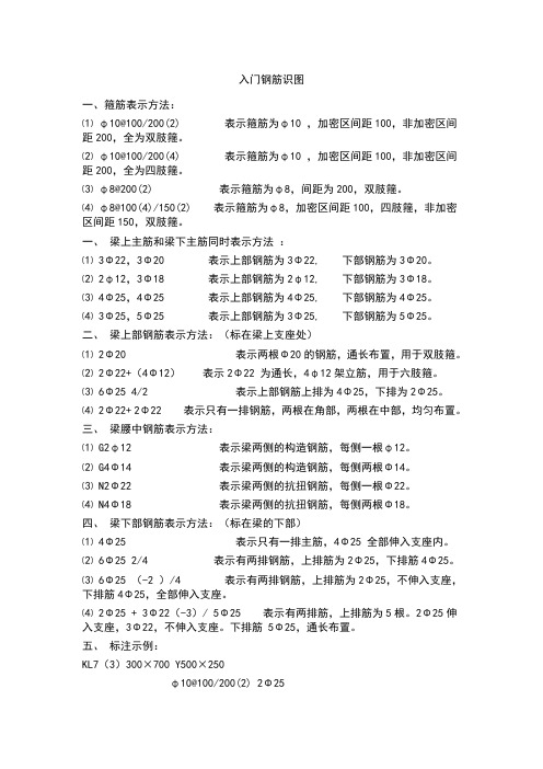 钢筋入门识图讲解