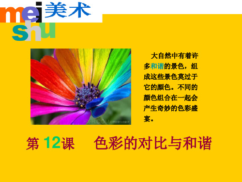 《色彩的对比与和谐》PPT优秀课件2