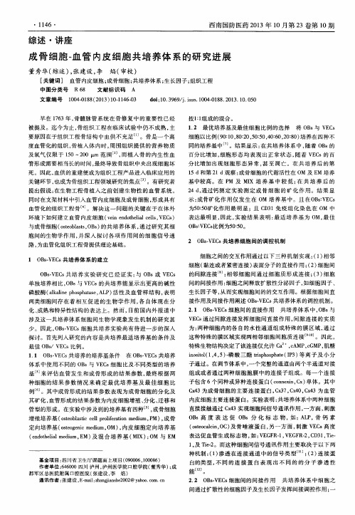 成骨细胞-血管内皮细胞共培养体系的研究进展
