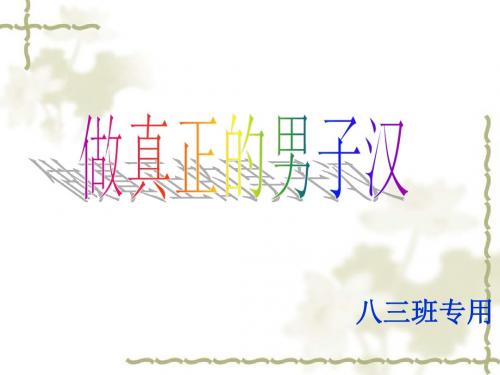 初中教育主题班会男子汉宣言ppt
