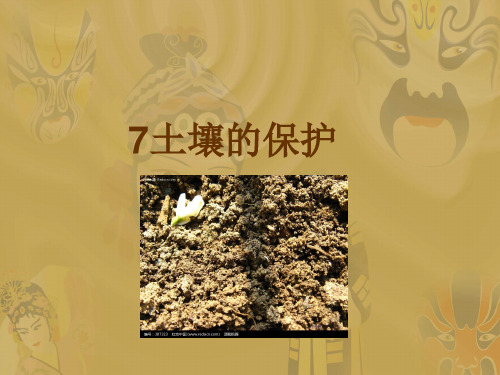 三年级上册科学课件-7《土壤的保护》 ｜冀教版               (共17张PPT)