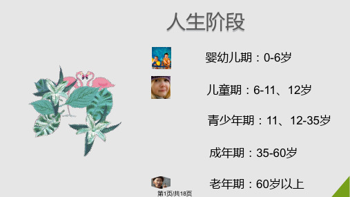 老人和儿童PPT课件