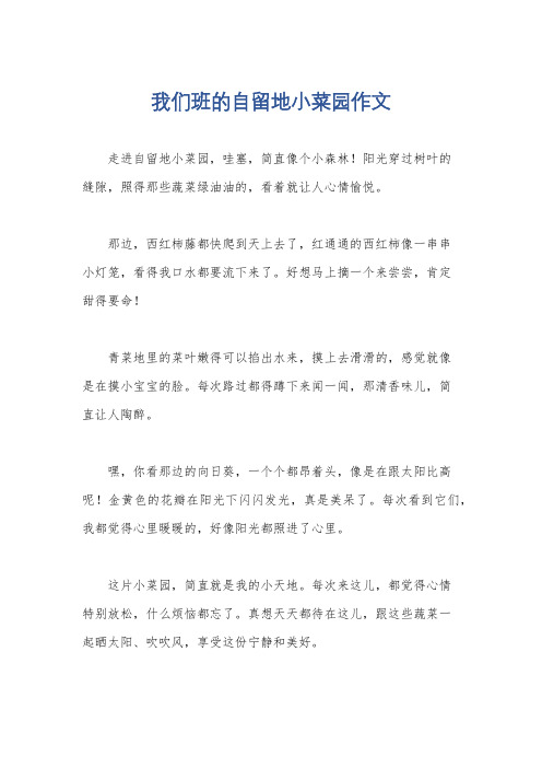 我们班的自留地小菜园作文