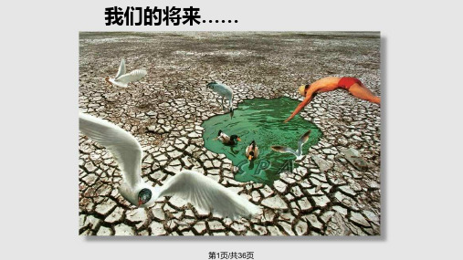 水的净化与污水处理PPT课件