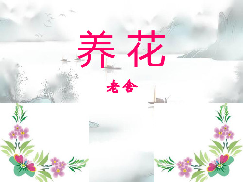 《养花》12精选优质 PPT