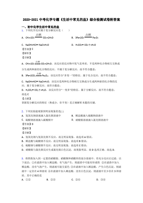 2020-2021中考化学专题《生活中常见的盐》综合检测试卷附答案