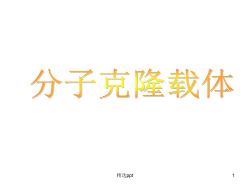 《分子克隆载体》PPT课件 (2)